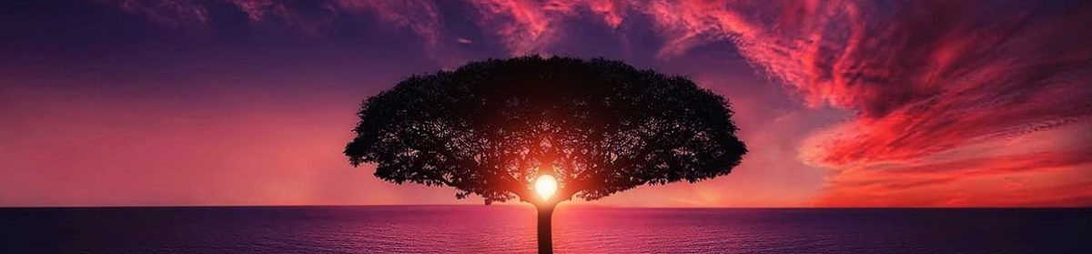 Always safe in our hands